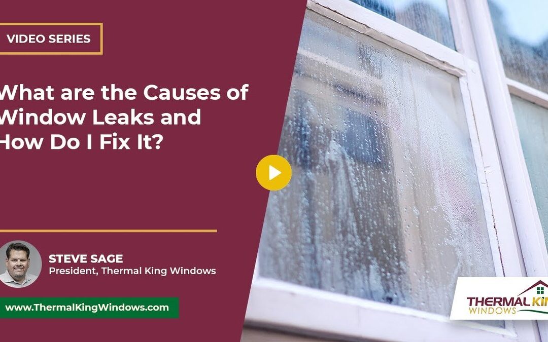 What are the Causes of Window Leaks and How Do I Fix It?