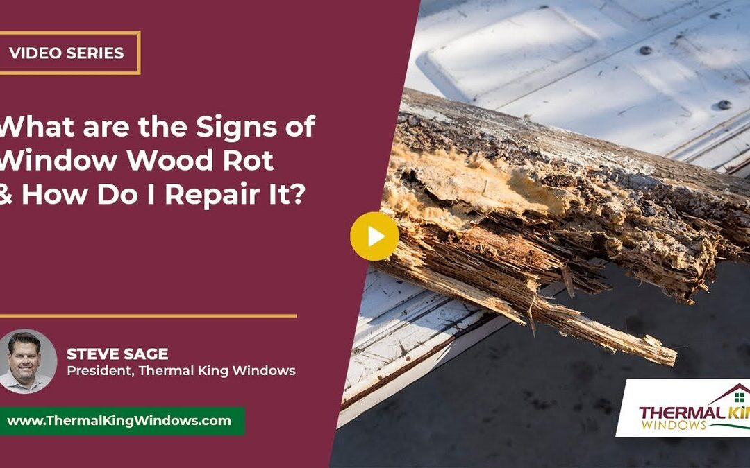 What are the Signs of Window Wood Rot & How Do I Repair It?