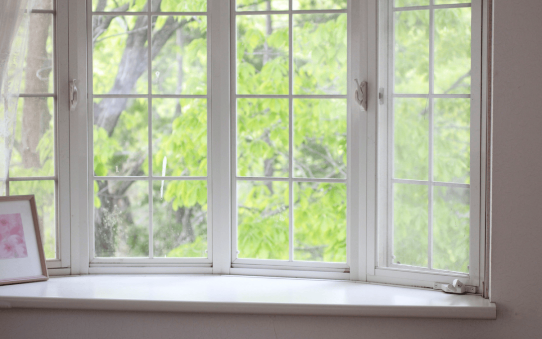 What are the best windows for dining rooms?