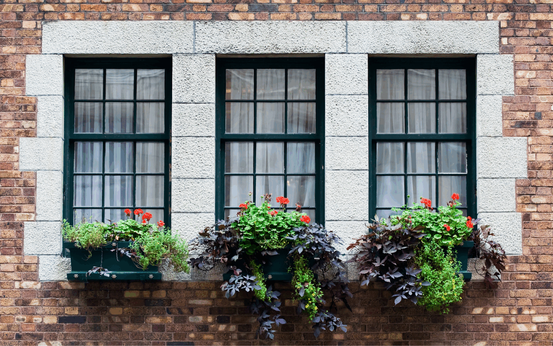 Who Sells Black Windows in Kansas City?