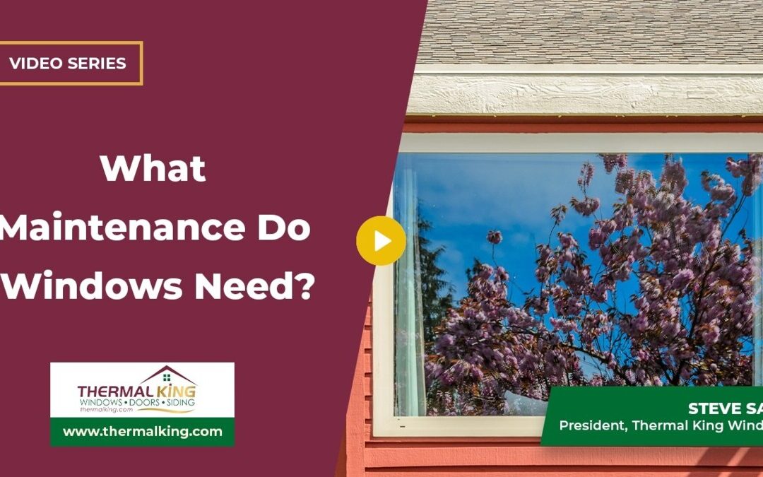 What Maintenance Do Windows Need?