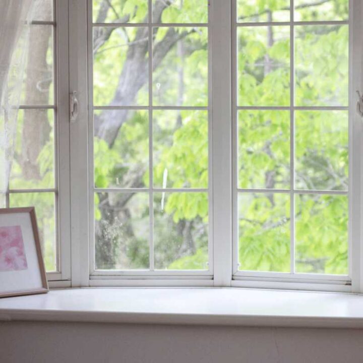 Professionally installed vinyl window with a view of trees in Overland Park, KS